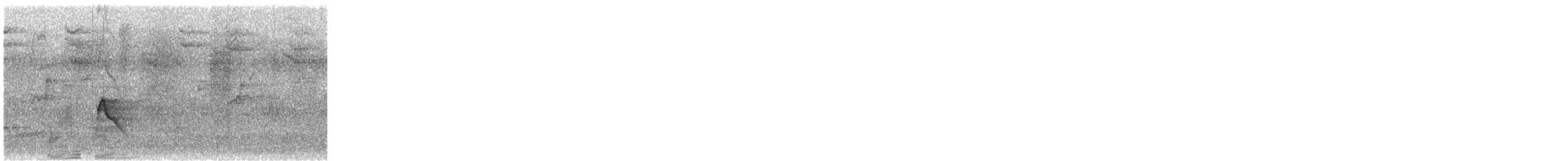 elaenia sp. (genus Elaenia) - ML646145686