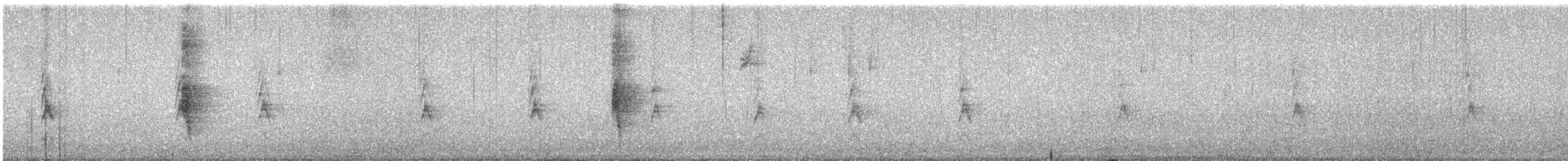 Northern Mockingbird - ML646145722