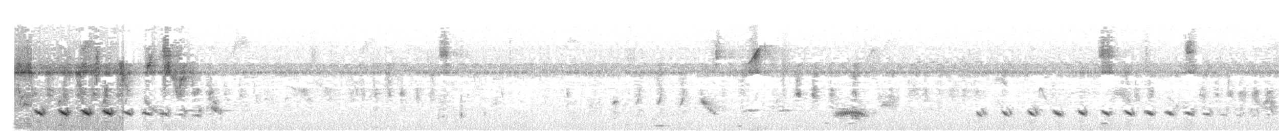 Barred Antshrike - ML646145781