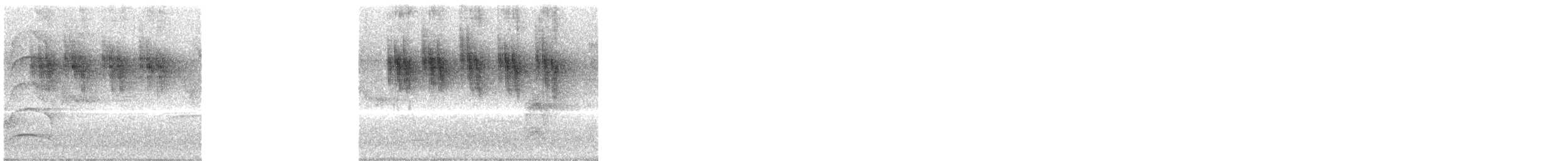 Sapphire-spangled Emerald - ML646145938