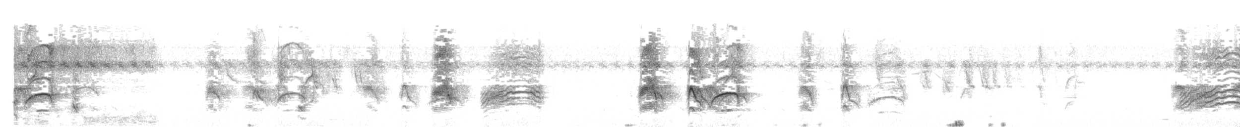 Great Kiskadee - ML646145986