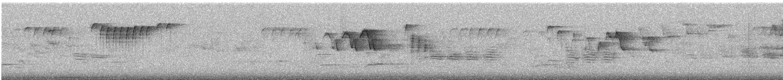 Bay-breasted Warbler - ML646146488