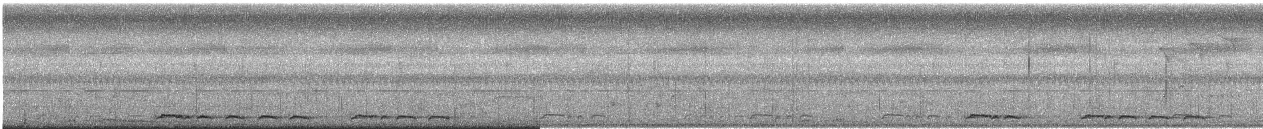 Zebra Dove - ML646146603