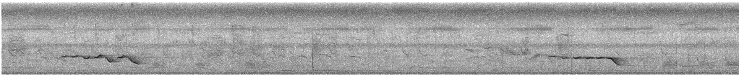 Common Iora - ML646146622