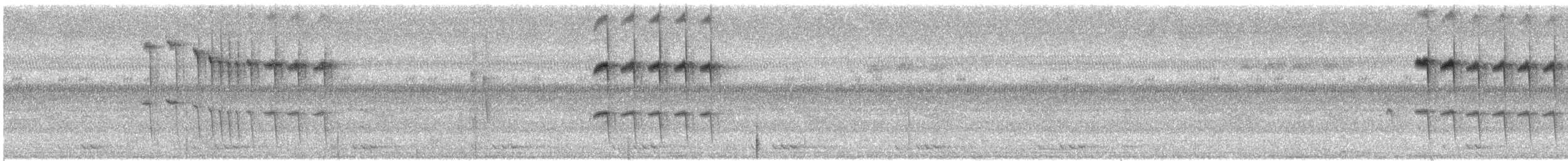 Long-tailed Sibia - ML646147422