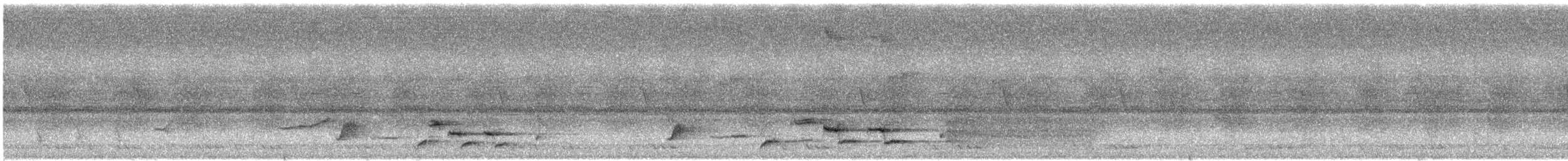 Lesser Racket-tailed Drongo - ML646148079