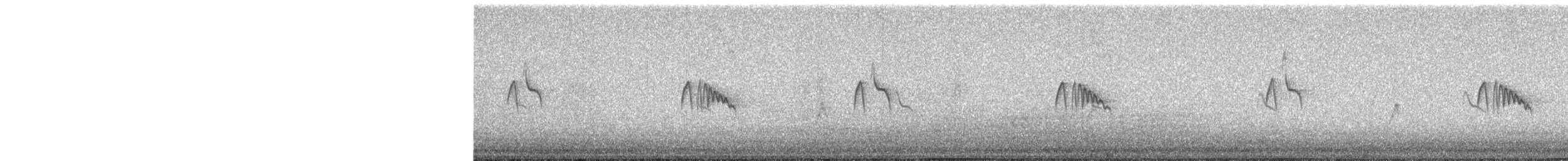 Black Phoebe - ML646148390