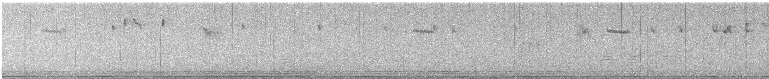 Brown Creeper - ML646148906