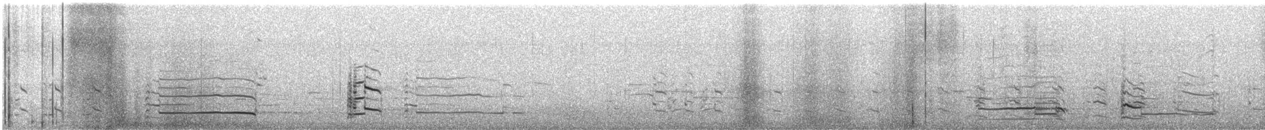 American Herring Gull - ML646149139