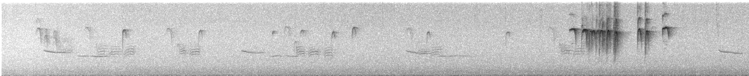 Amerika Baştankarası - ML646149548