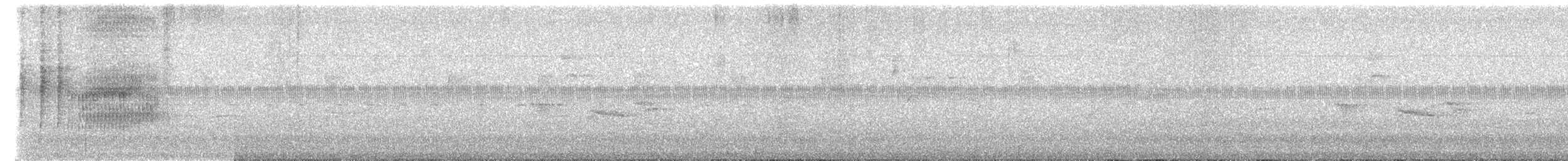 Isthmian Wren - ML646149730