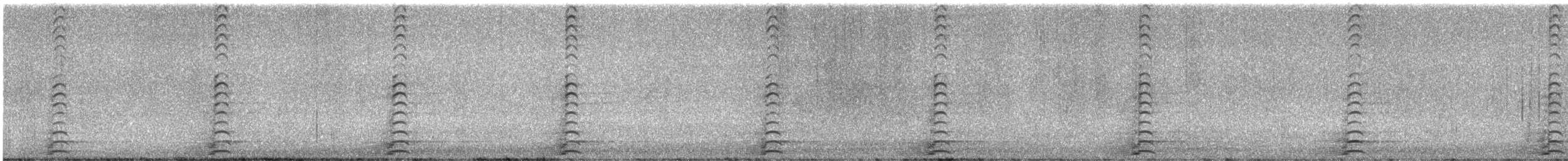 Oca canadese maggiore - ML646150014