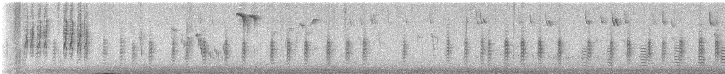 Red-breasted Nuthatch - ML646150097