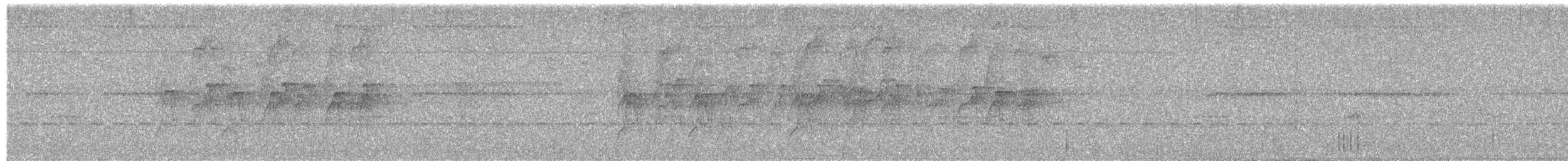 Altın Karınlı Tiran - ML646150642