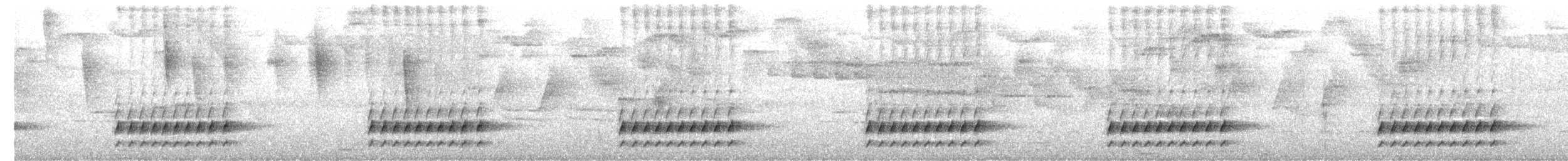 White-crowned Tapaculo - ML646151633