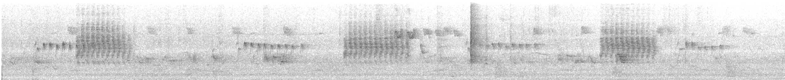 sýkora popelavá (ssp. commixtus) - ML646151826
