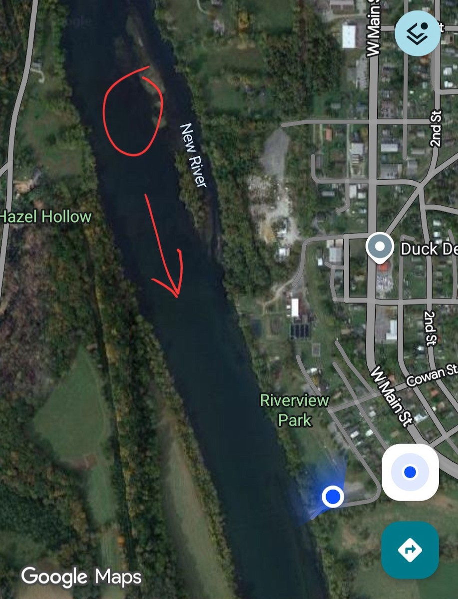 volavka rusohlavá - ML646153955