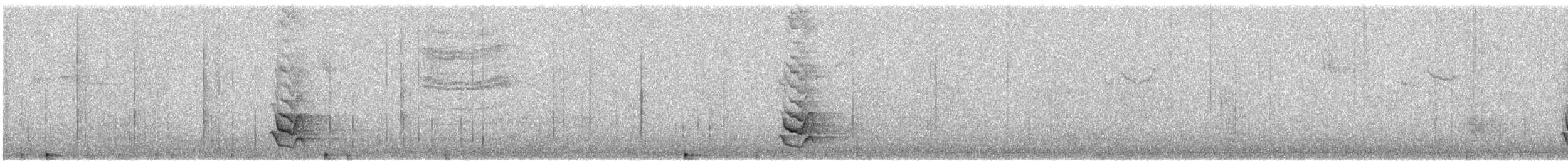 Long-billed Thrasher - ML646154441