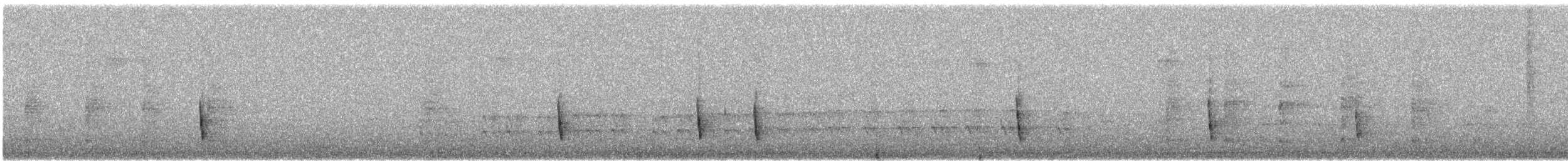 Hermit Thrush - ML646154499