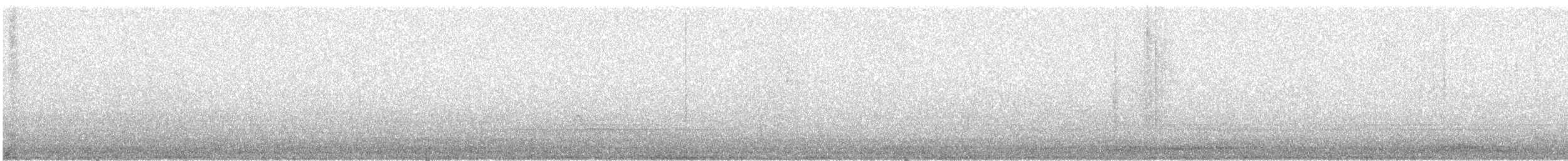 Zopilote beltza - ML646154519