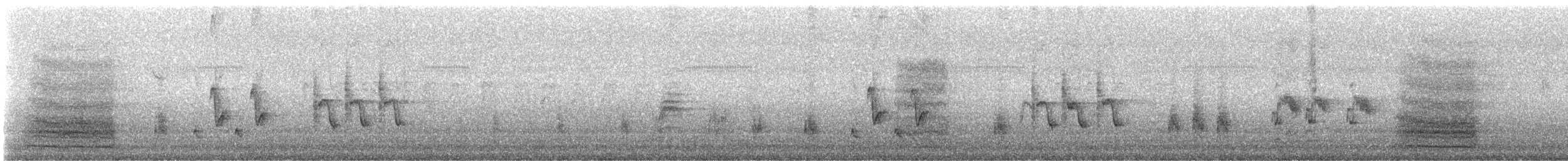 Australian Reed Warbler - ML646154520