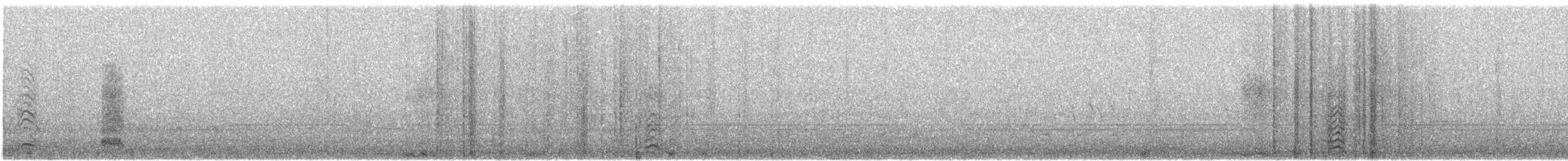 Yellow-crowned Night Heron - ML646154533