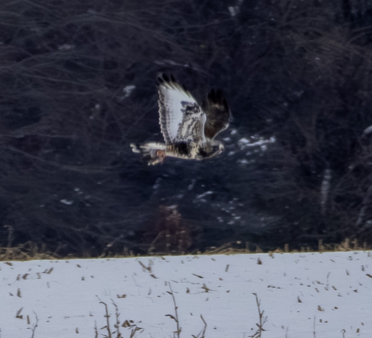 עקב מכנסיים - ML646154563