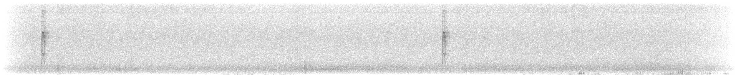 Downy Woodpecker - ML646154617