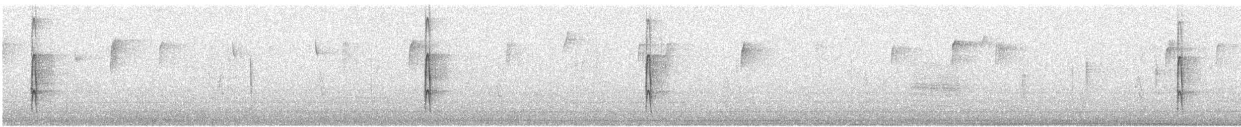 Ladder-backed Woodpecker - ML646154629