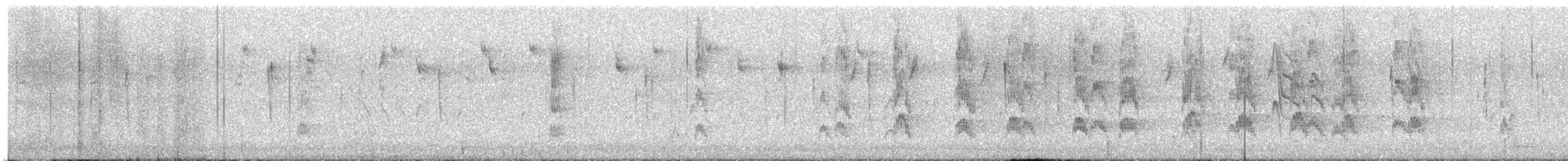 Red-cockaded Woodpecker - ML646154859