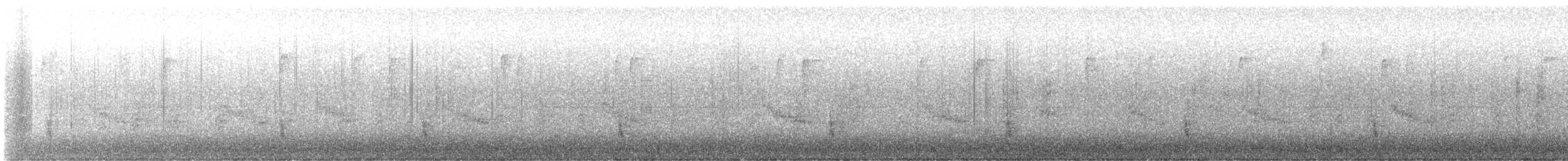 Hermit Thrush - ML646155166