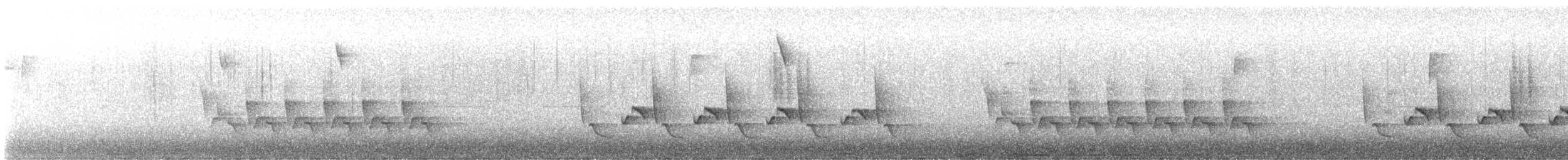 Carolina Wren - ML646155181