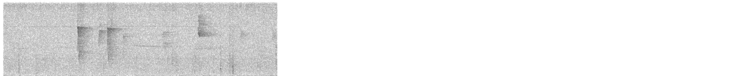 Wedge-billed Woodcreeper - ML646155191