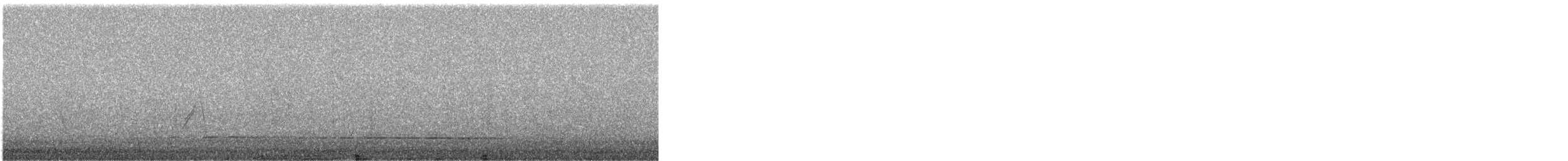 Hegaztia sp. - ML646155324