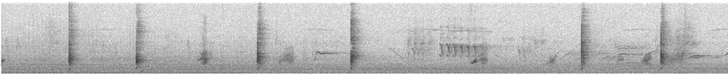 Great-tailed Grackle - ML646155529