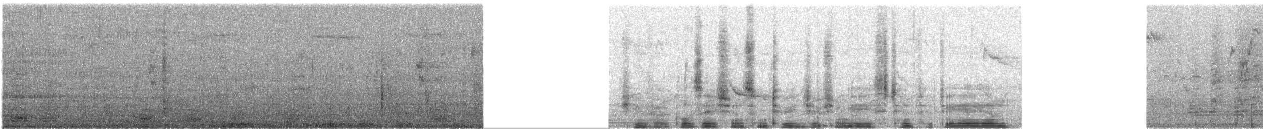 Egyptian Goose - ML646155555