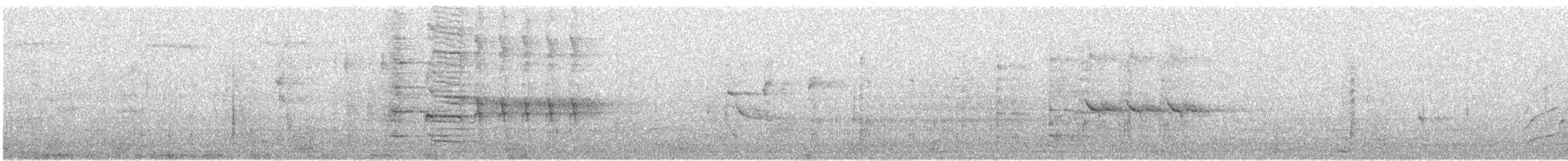 Great-tailed Grackle - ML646155573