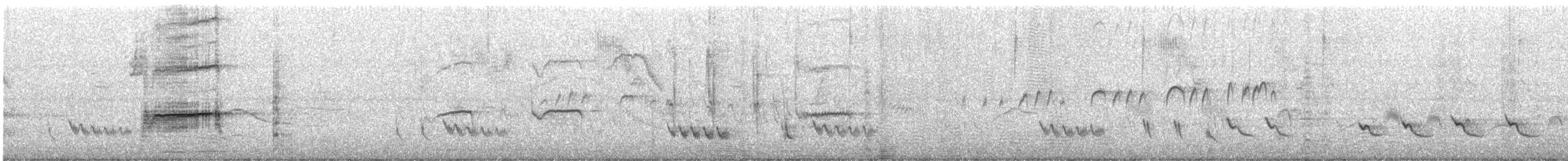 Perlaar - ML646155607