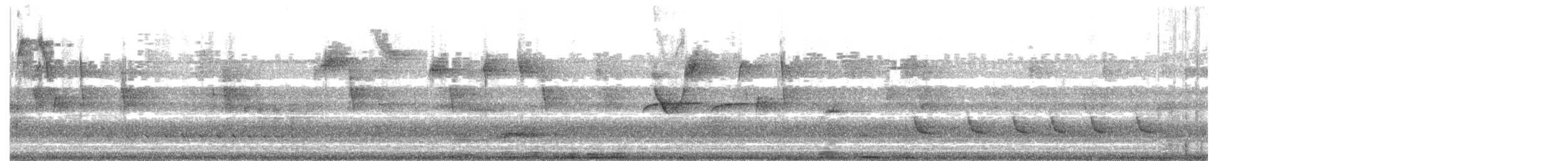 White-winged Becard - ML646155884