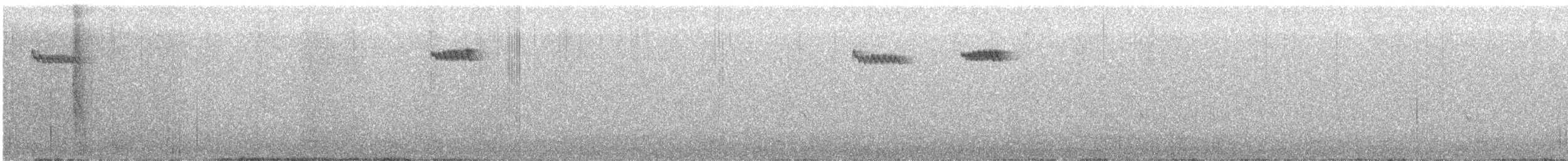 Brown Creeper - ML646156034