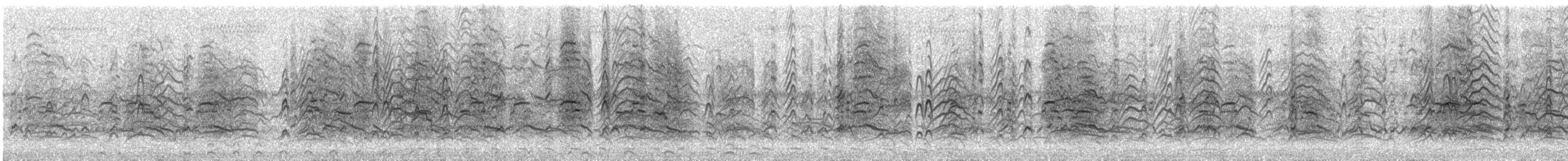 Fulvous Whistling-Duck - ML646156129