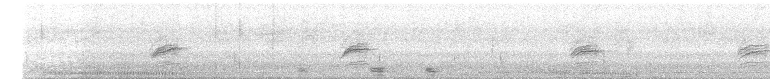 Дрізд-короткодзьоб плямистоволий - ML646156260