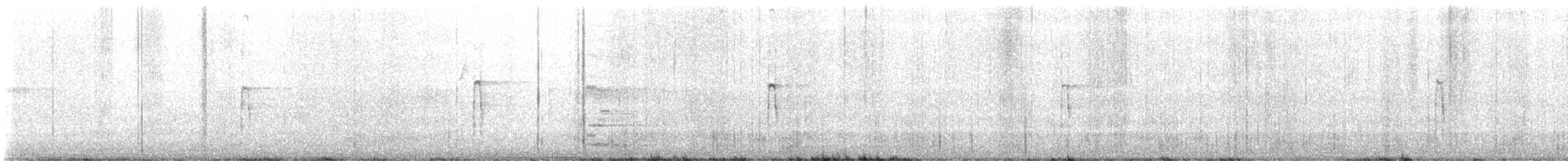 Pico Velloso - ML646156429