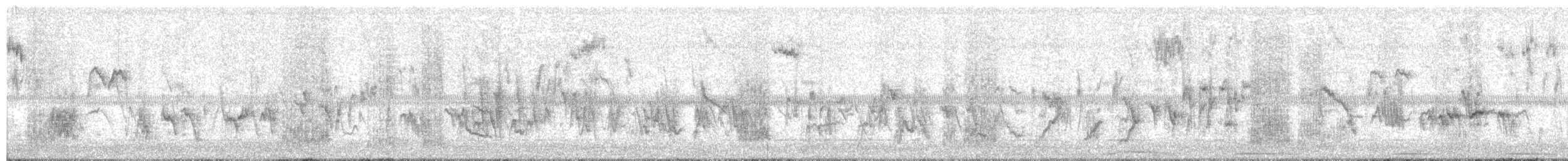 ヒバリヒメドリ - ML646156870