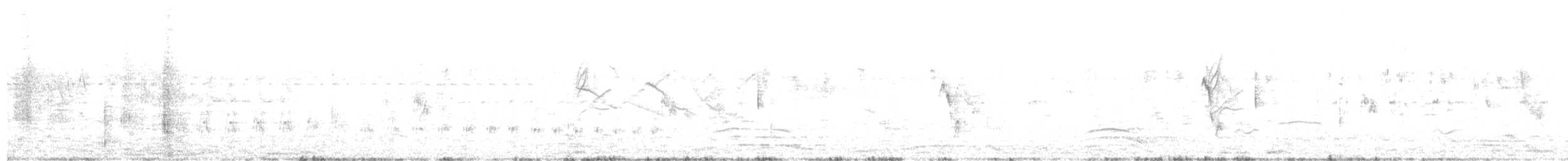 Сокіл sp. - ML646157095