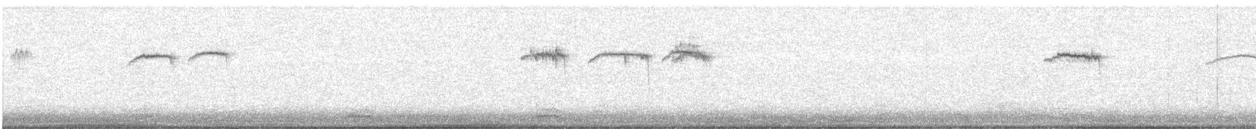 Омелюх американський - ML646157402