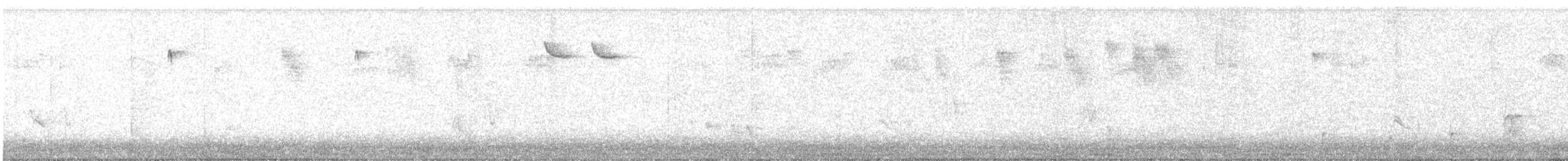 Підкоришник американський - ML646157456