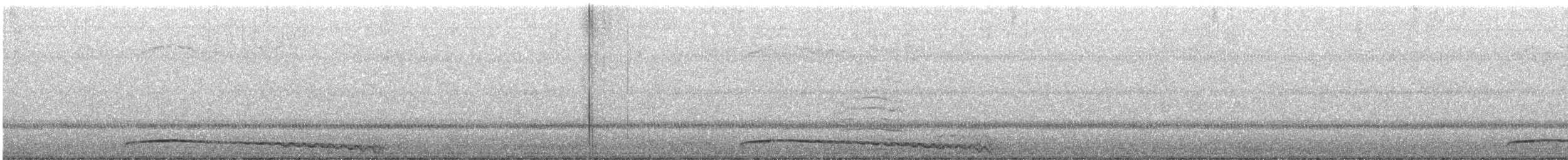 Eastern Screech-Owl - ML646157986