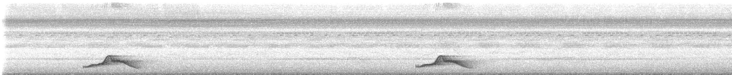 Common Pauraque - ML646157991