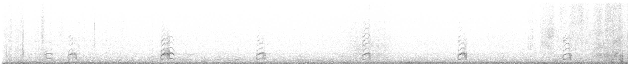 Snow Goose - ML646158301